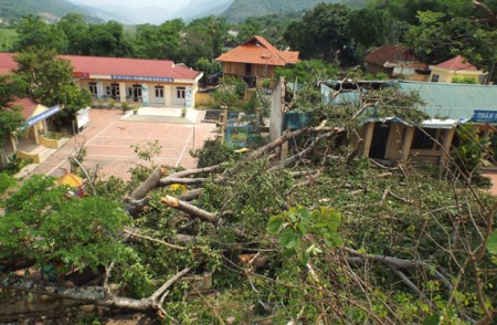 Cành cây đổ làm hư hỏng 2 phòng học của Trường Tiểu học Lay Nưa.