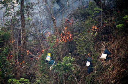 Dân quân huyện Mường Ảng (Điện Biên) tham gia chữa cháy rừng tại xã Ẳng Nưa tháng 4-2016.                         Ảnh: THÀNH CHƯƠNG