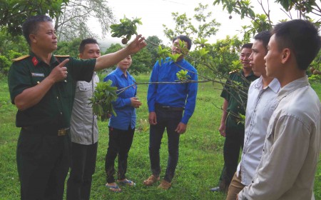 Trung tá Nguyễn Văn Toan hướng dẫn kỹ thuật chăm sóc cây ăn quả cho thanh niên bản Nà Vèn, xã Mường Và.                                                             Ảnh: CAO XUÂN