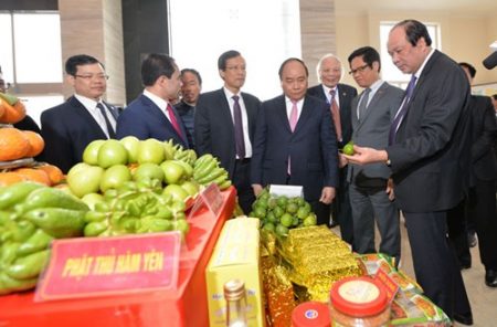 Thủ tướng Nguyễn Xuân Phúc và các đại biểu tham quan gian trưng bày các nông sản chất lượng cao của tỉnh Tuyên Quang. 
