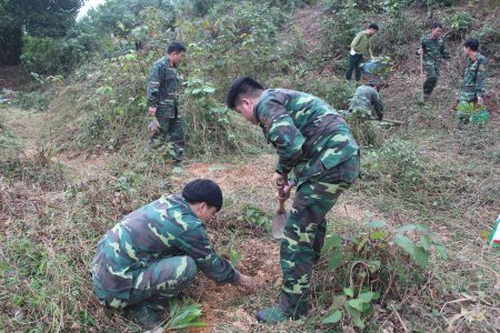 Cán bộ, chiến sĩ Bộ CHQS tỉnh tham gia trồng cây tại khu thao trường Bộ CHQS tỉnh.